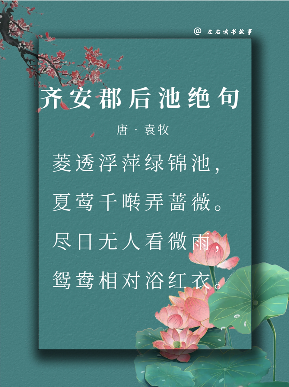 《齐安郡后池绝句》 唐61杜牧 菱透浮萍绿锦池,夏莺千啭弄蔷薇.