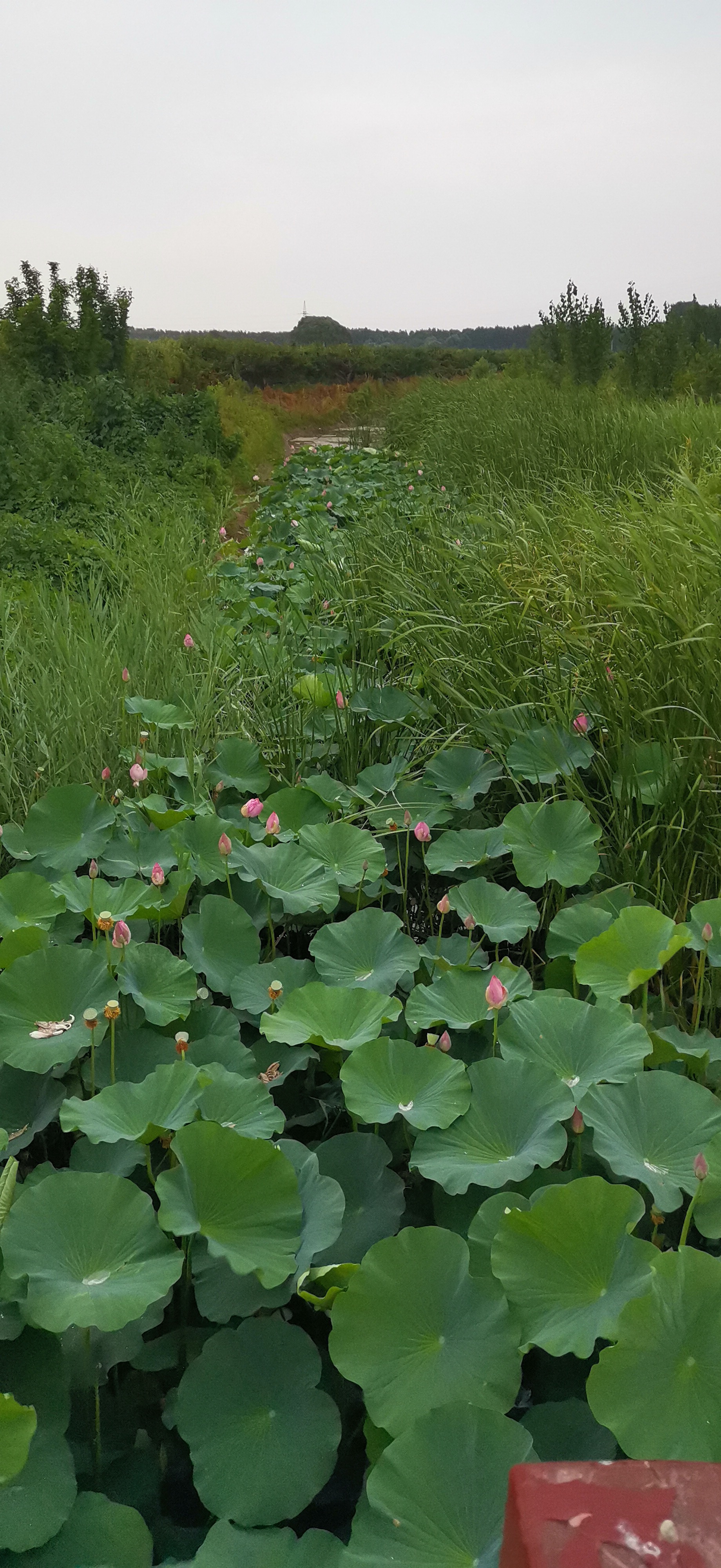雄安新区雄县摩旅,梨水湾景区,燕长城遗址,宋辽边关地道,雄山