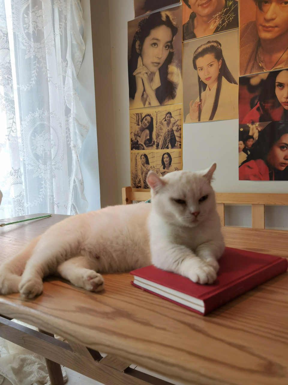 读后感读怎么写 沉思状