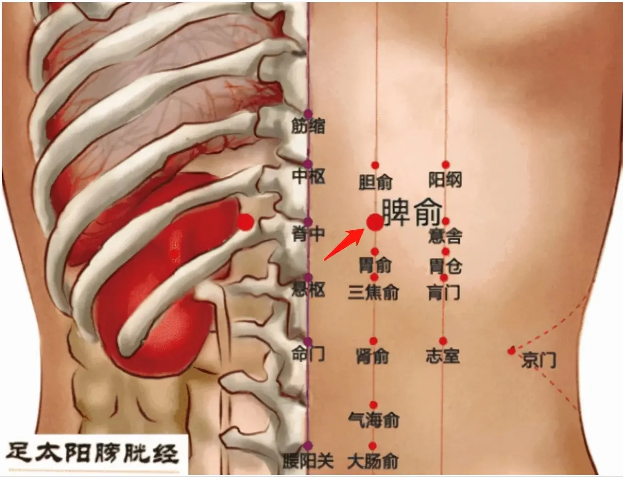 血糖高艾灸部位图片图片