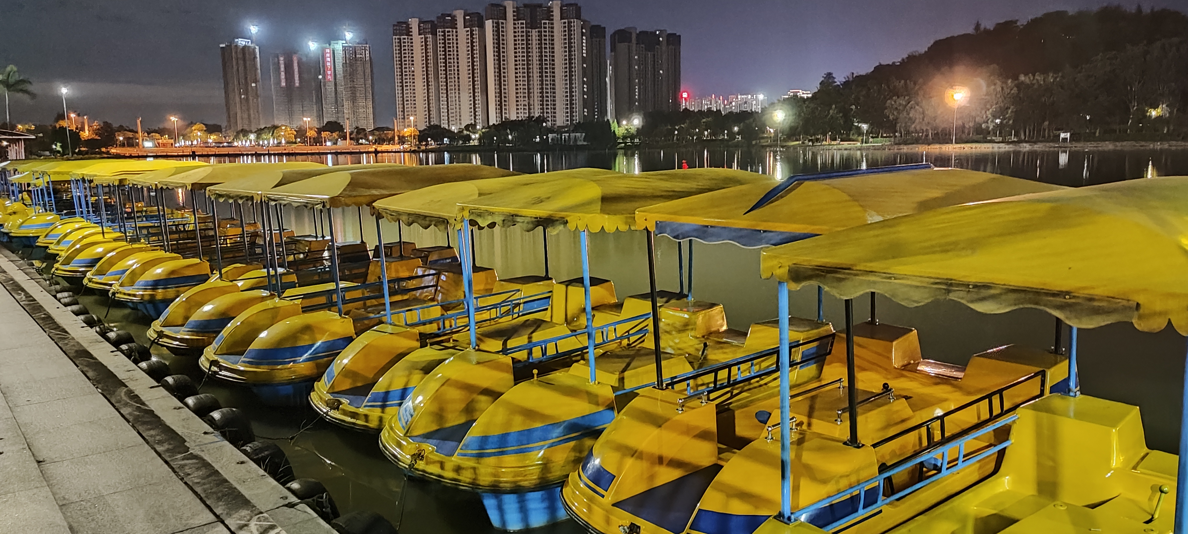 鹤山公园的夜景