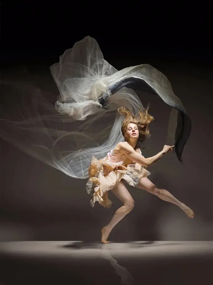 《舞蹈欣赏》随记·舞蹈形式与表演形式