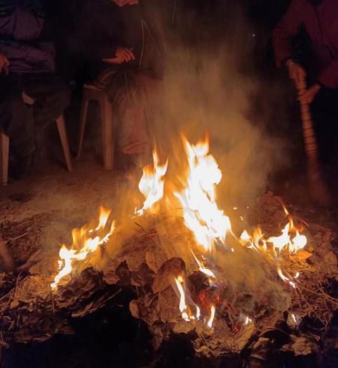 春节将至,回农村过年乐趣多,放鞭炮,烤地瓜,没事田间采野花
