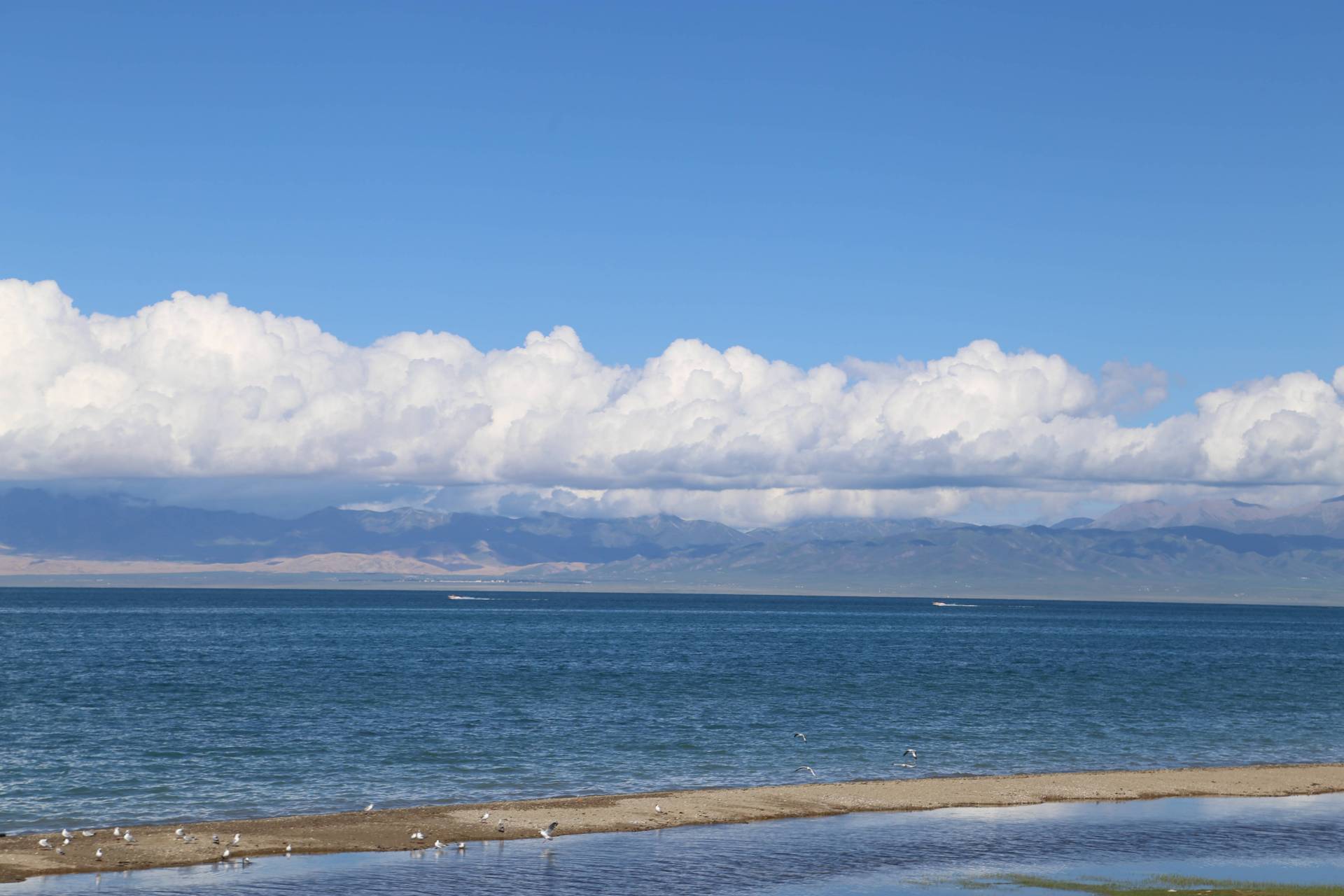 中国最大的青海湖图片