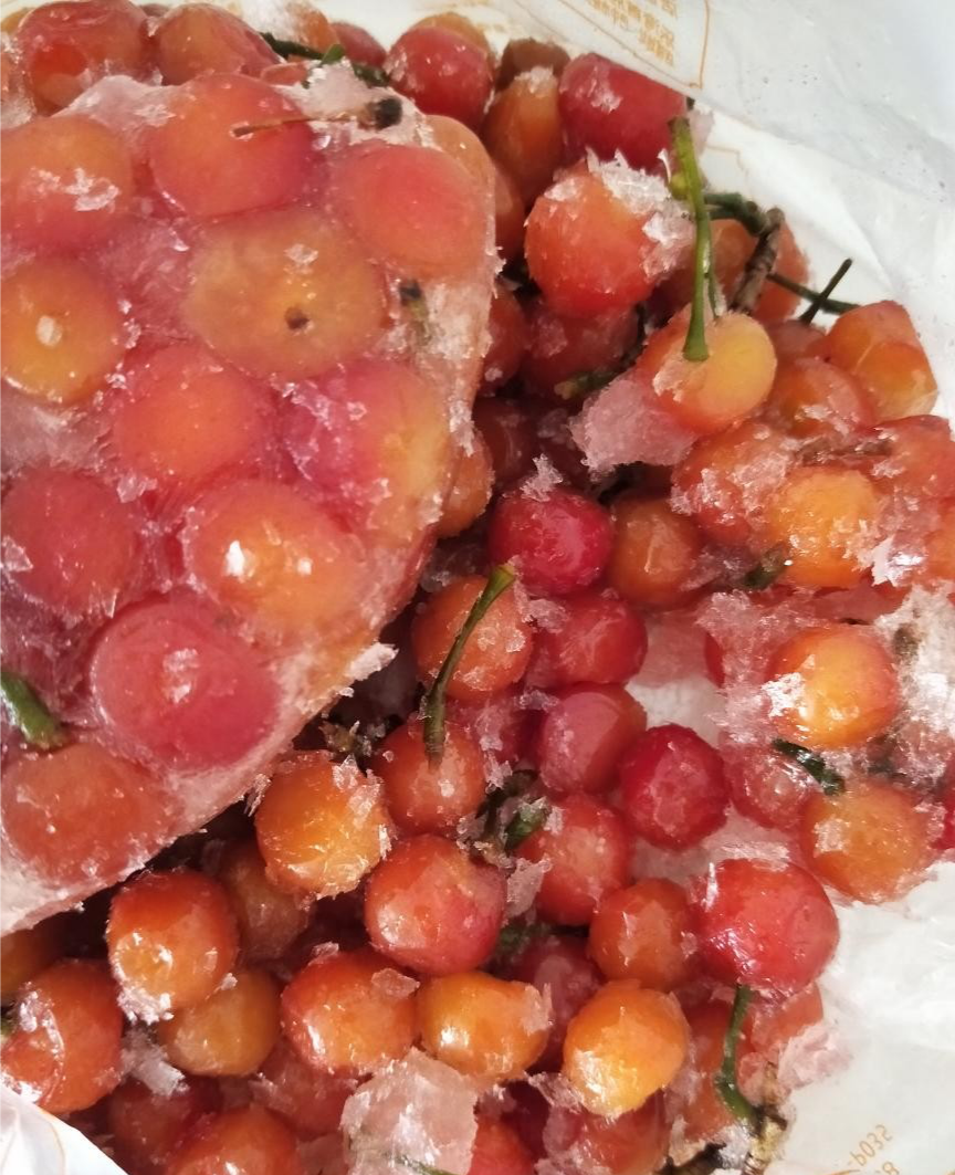 冻樱桃背后的故事