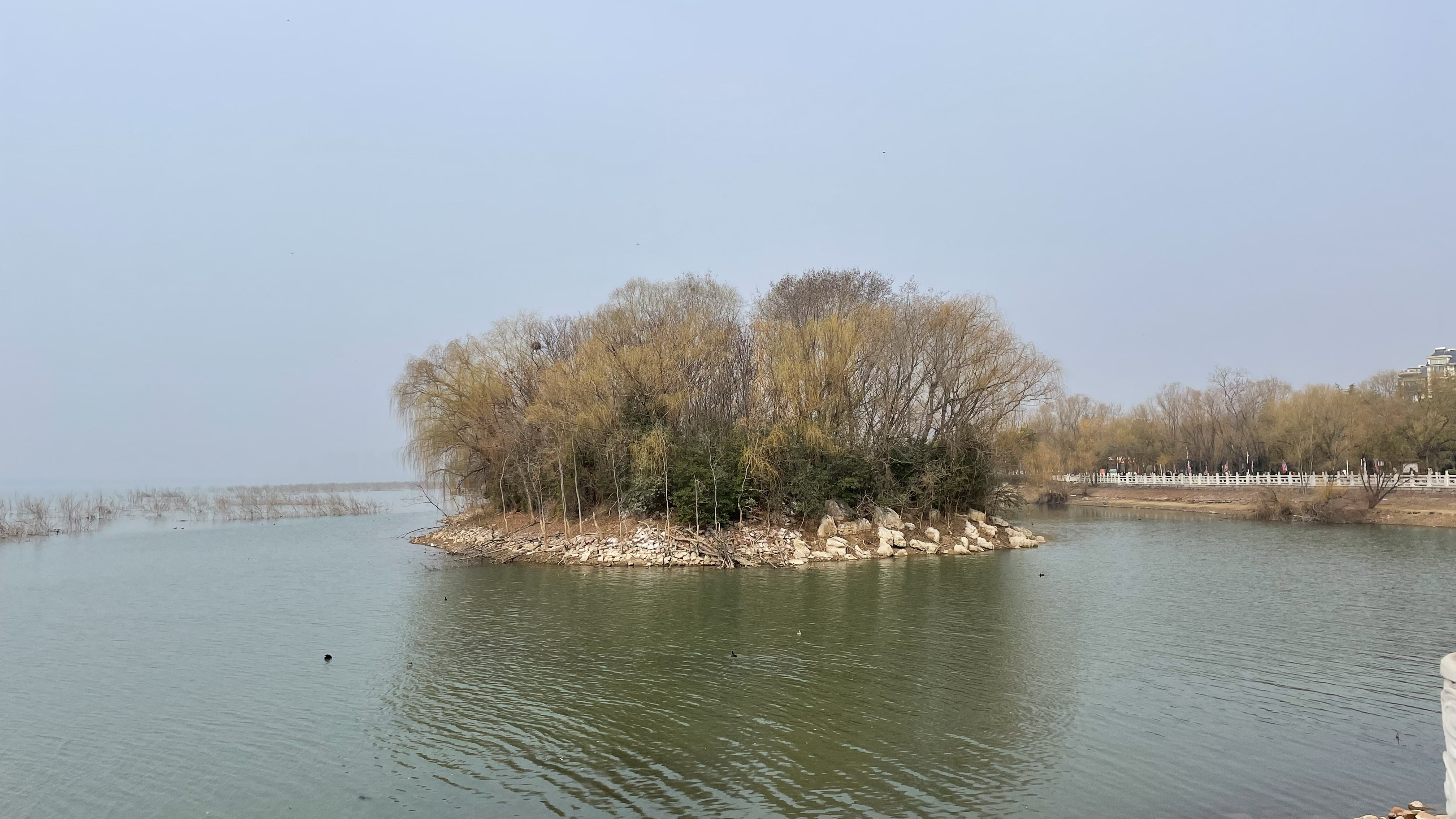 平顶山白龟湖湿地公园图片