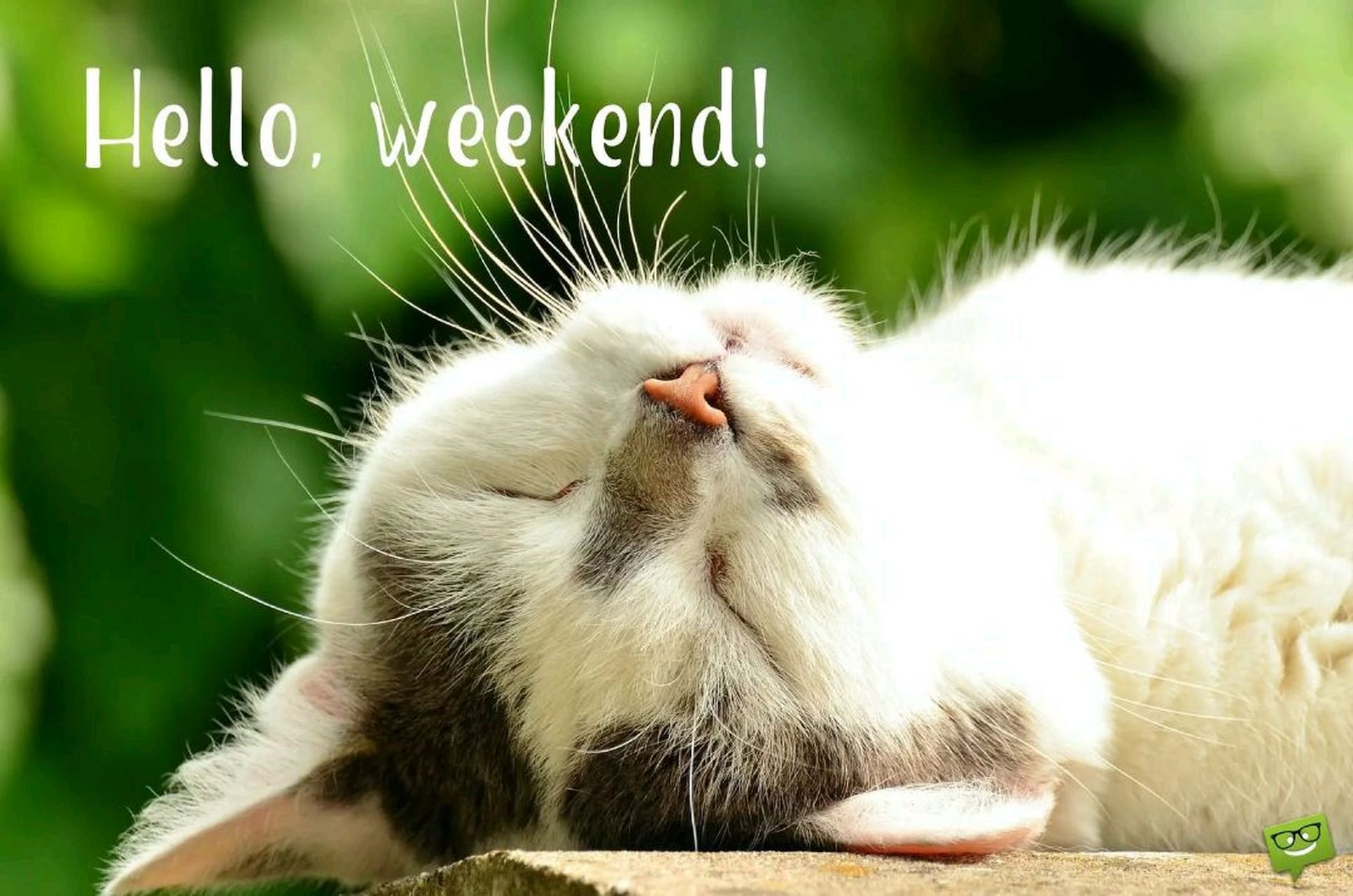 have a nice weekend !