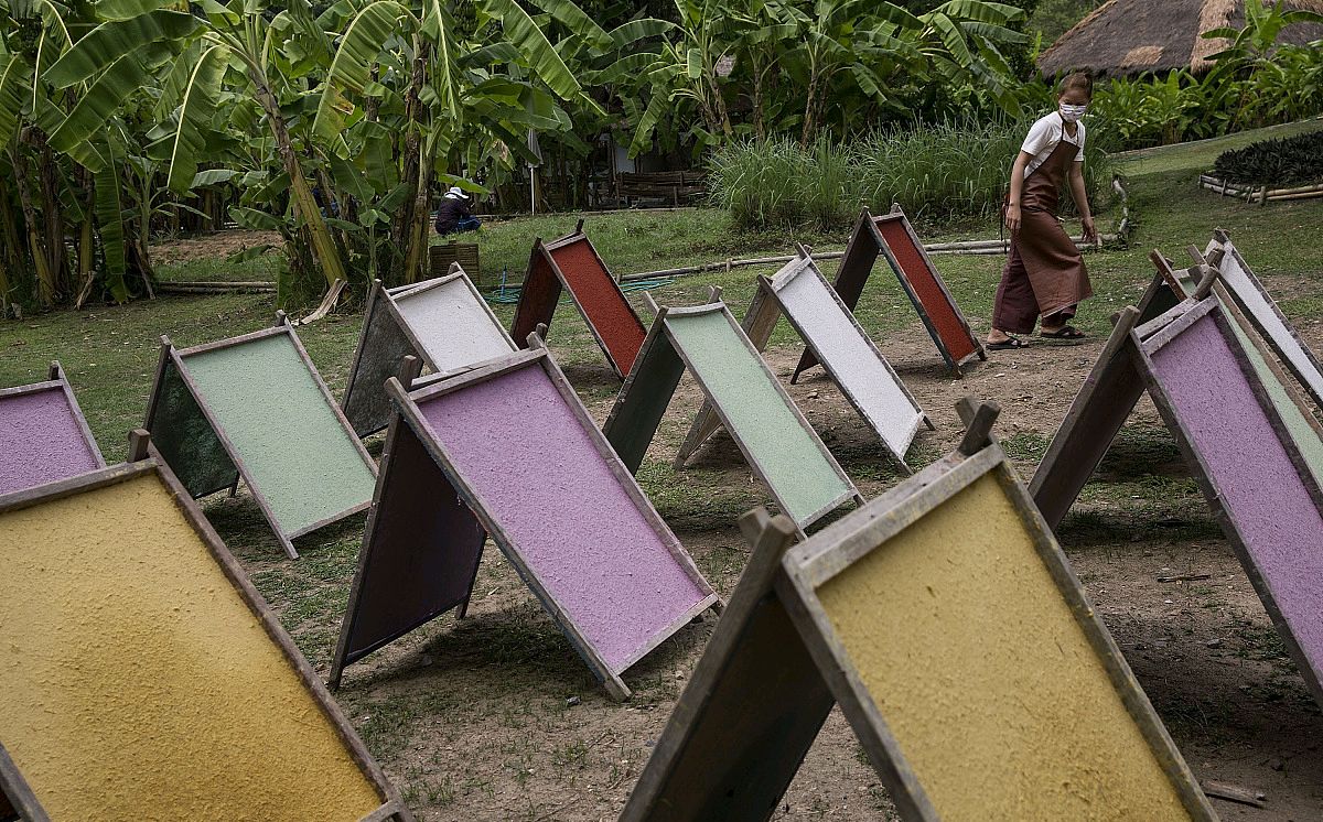 斯里兰卡的另类纸张——象粪纸