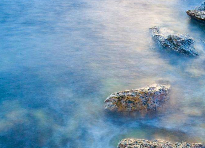 《钟情》作者:玛丽苏消亡史「许愿 谢端」小说txt全文免费阅读