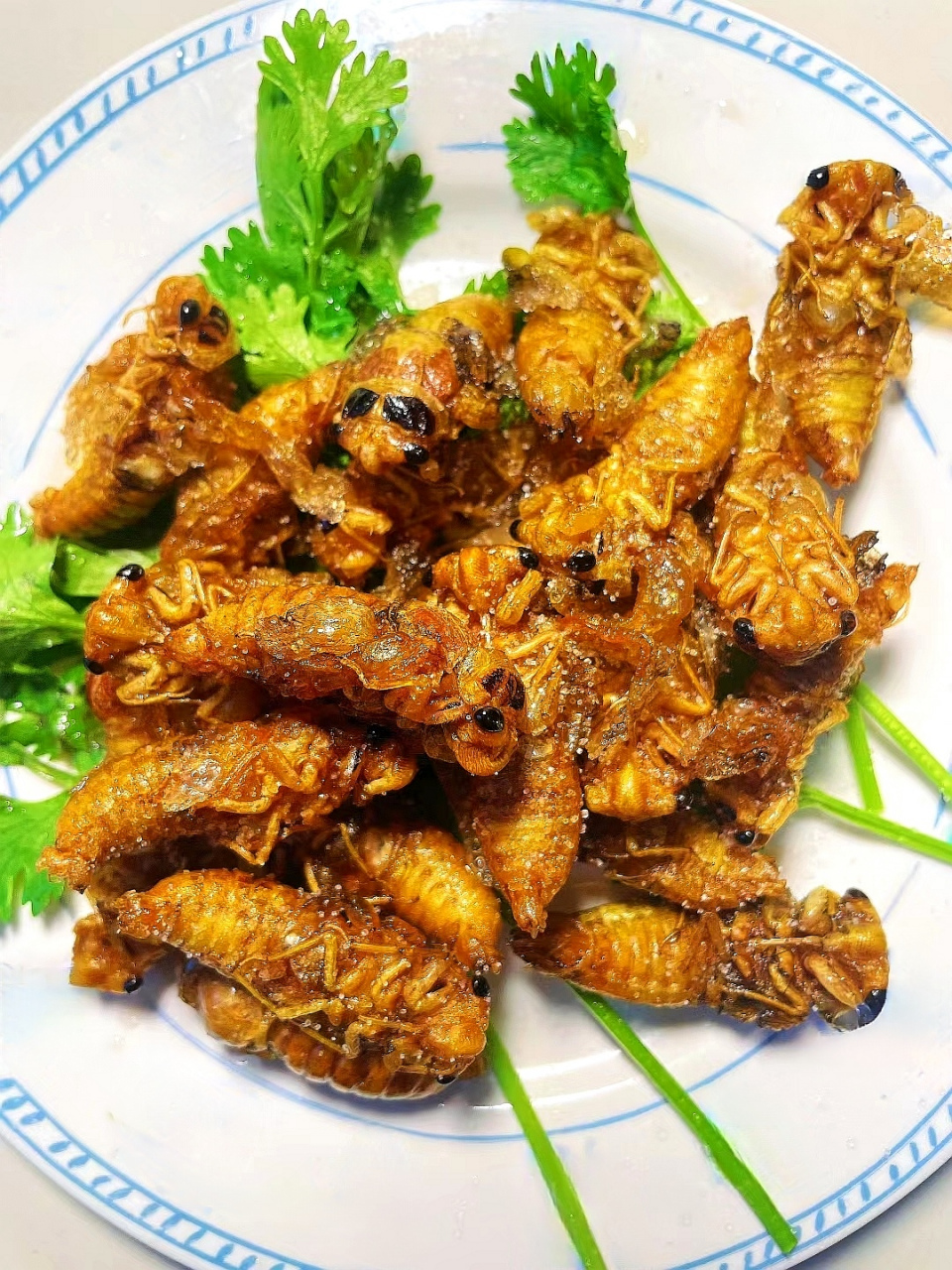 油炸知了猴色泽金黄,外酥里嫩,酥脆的外表夹杂着软糯的口感,焦香