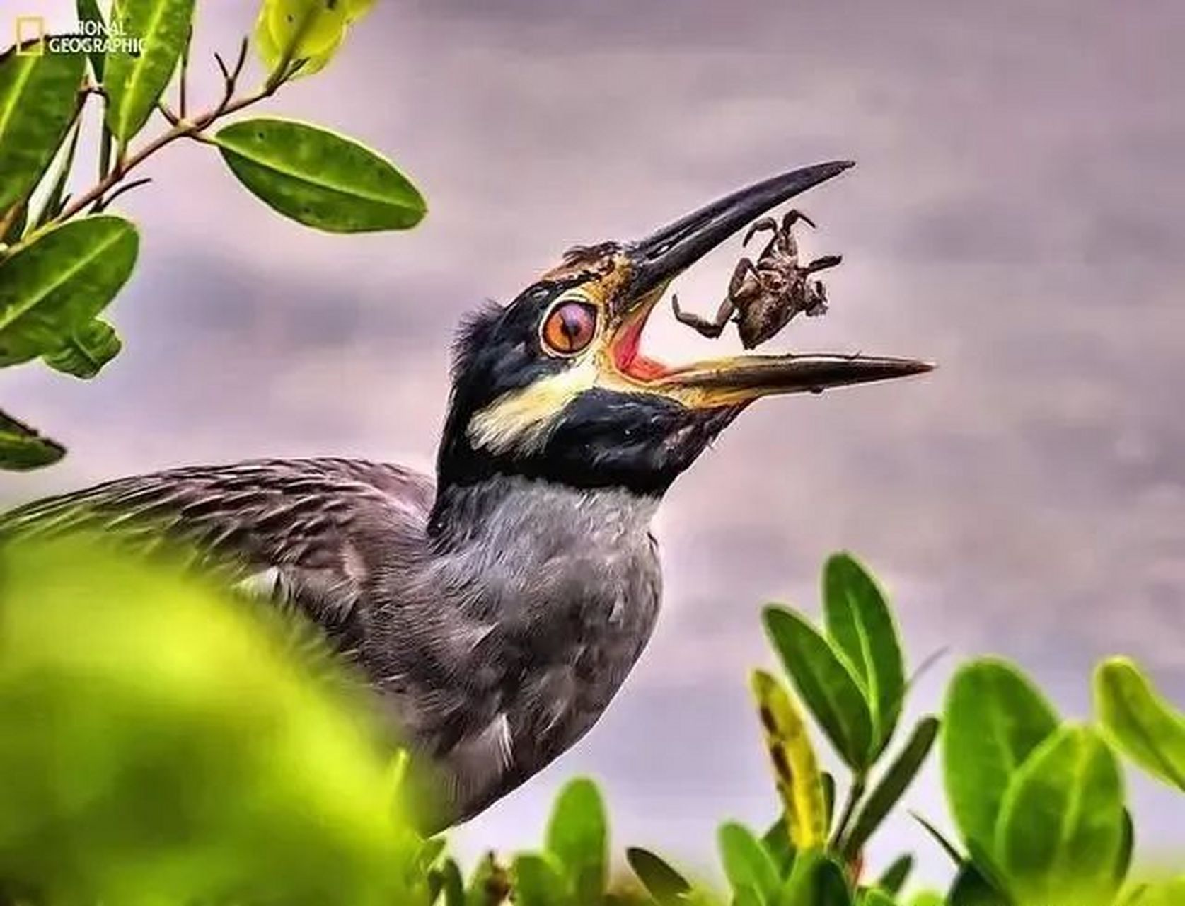 创意摄影大赛获奖作品欣赏一