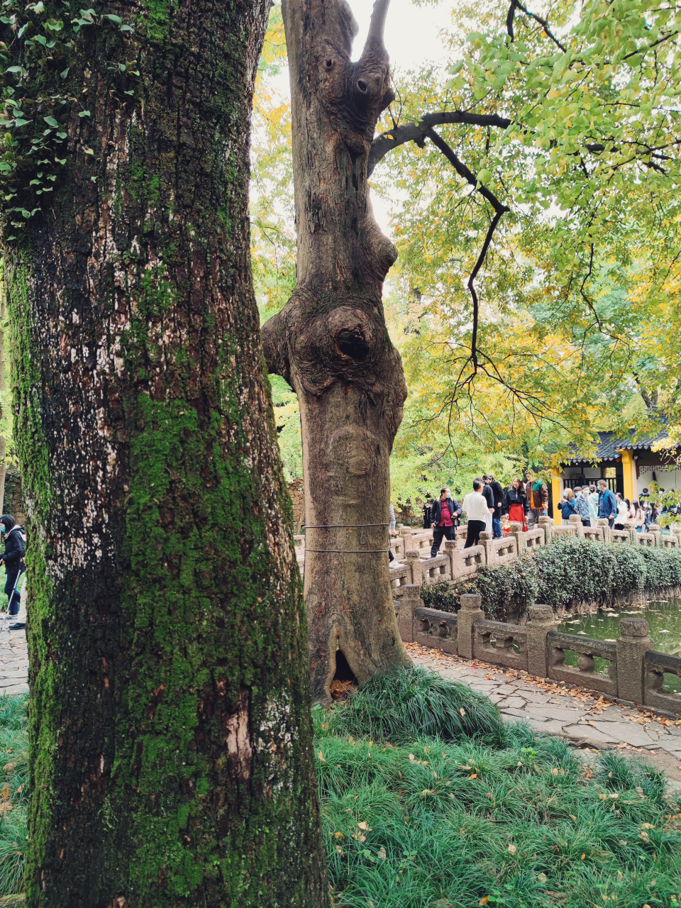 范文正公忠烈庙即范公祠,1982年被列为苏州市文物保护单位,1995年被列