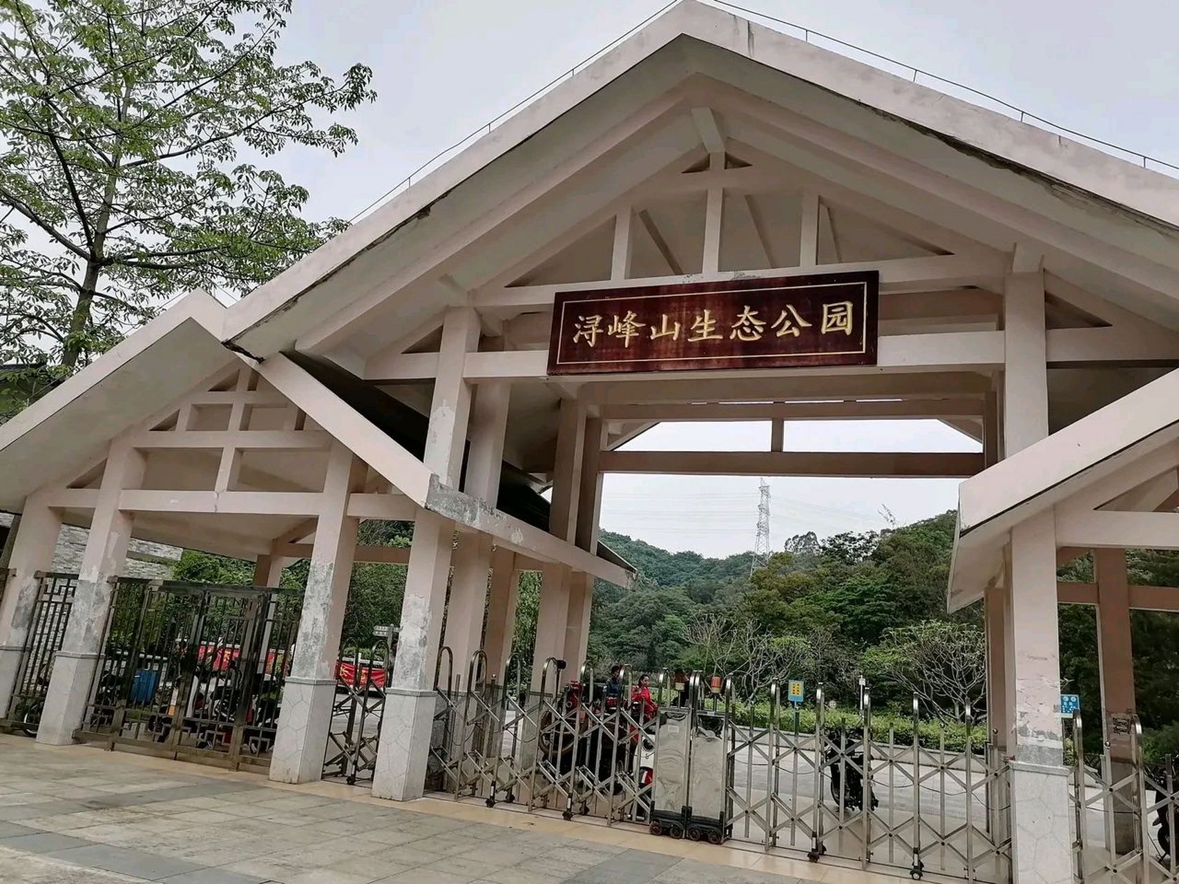 广州市白云区浔峰岗生态公园,早上空气清新,很多人跑步,里面绿树成荫