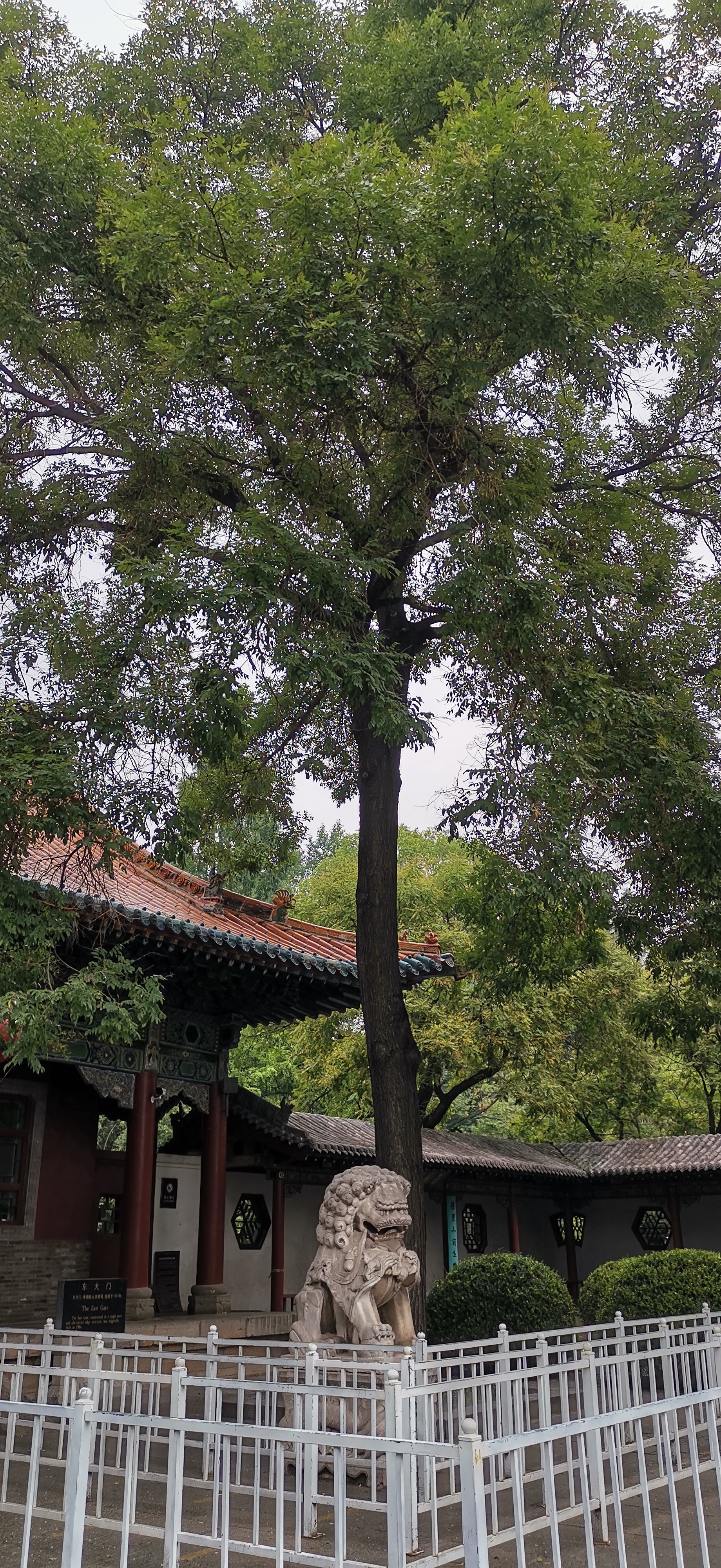 太原晋祠,稻田公园旅游观光