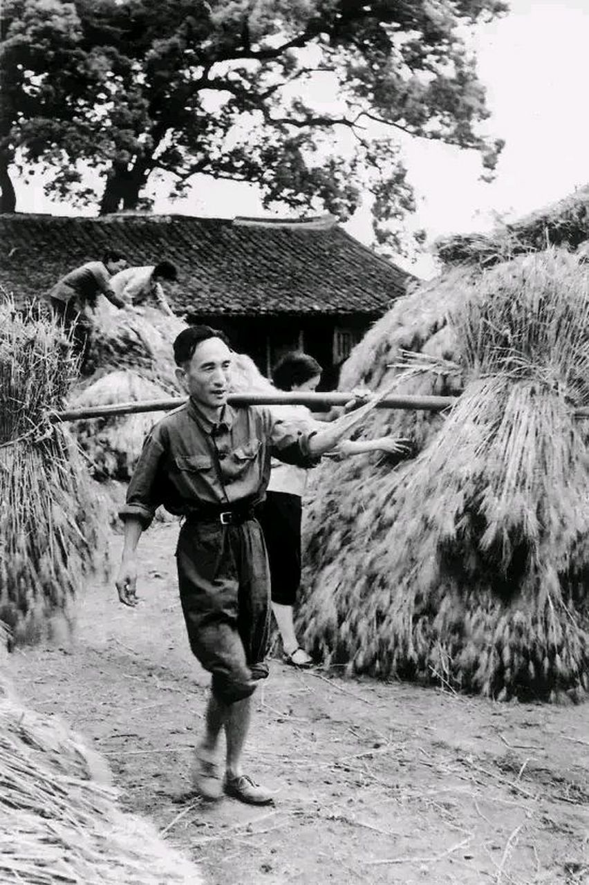 70年代,时任浙江黄岩县县委书记吕众义和群众一起劳动时的留影,照片中