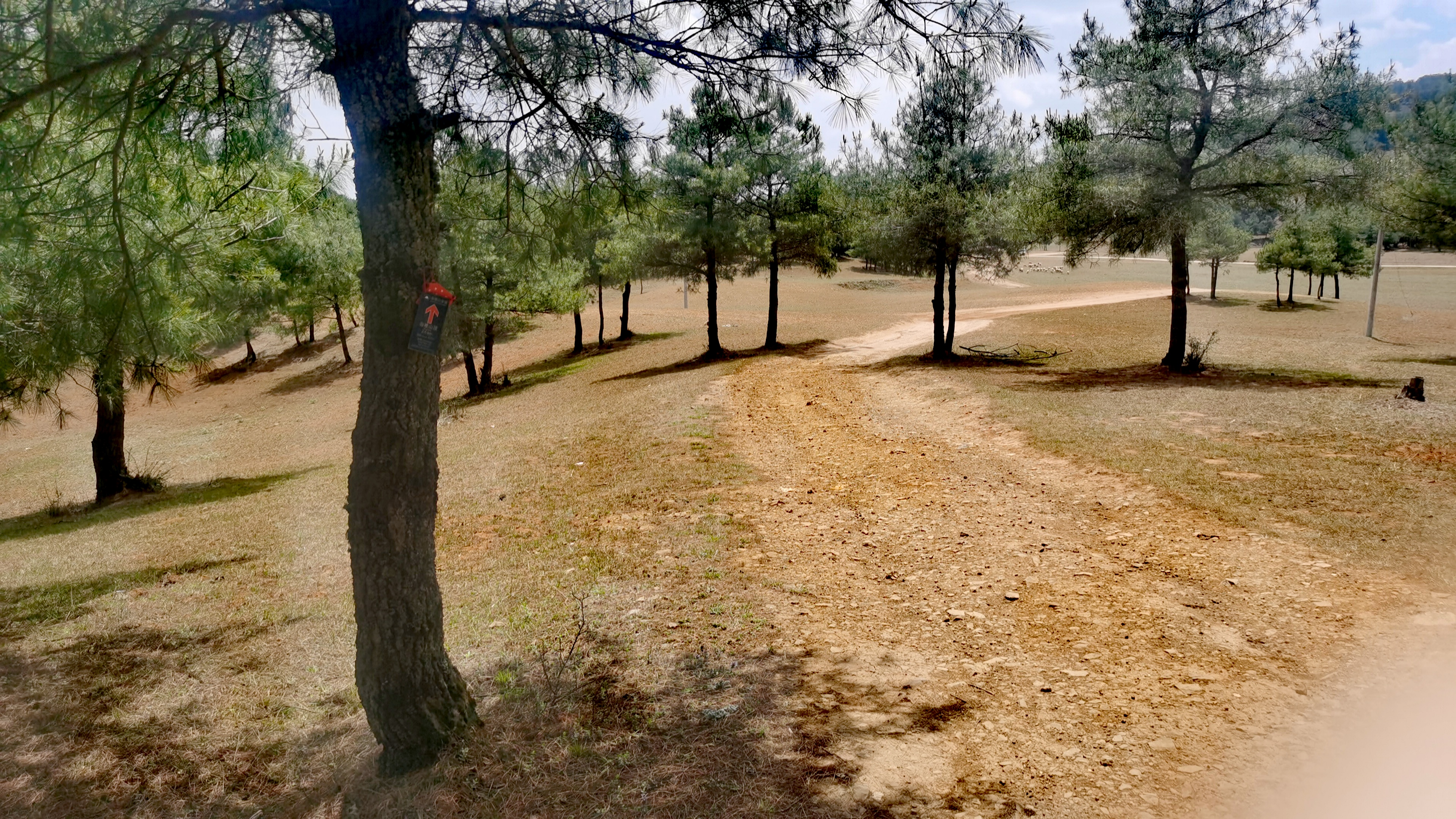 大尖山又名三尖山15,嵩明县的最高峰