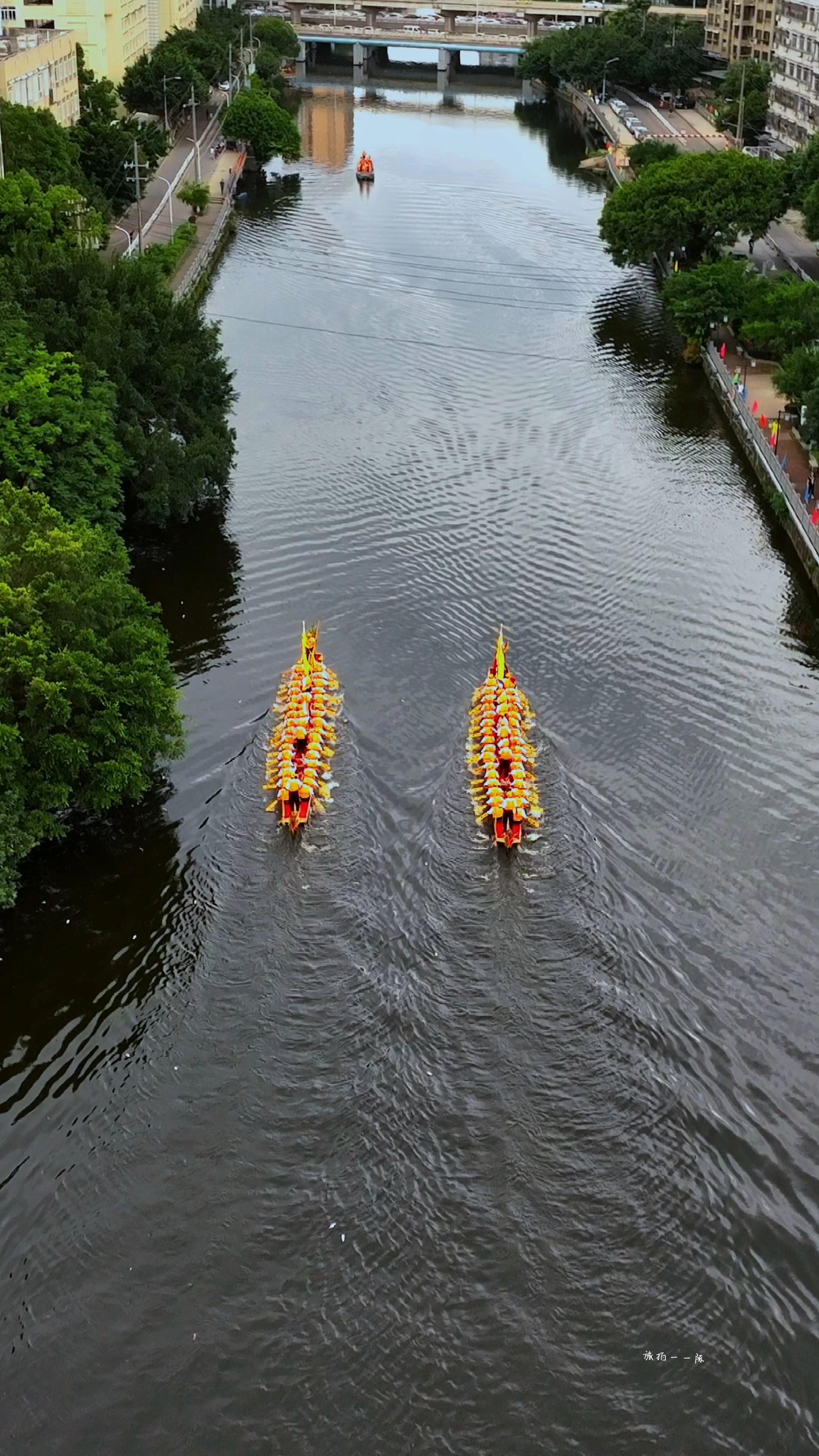 瑞安人民期待了十五年,今年终于解禁可以划龙舟了,这才是端午节该有的