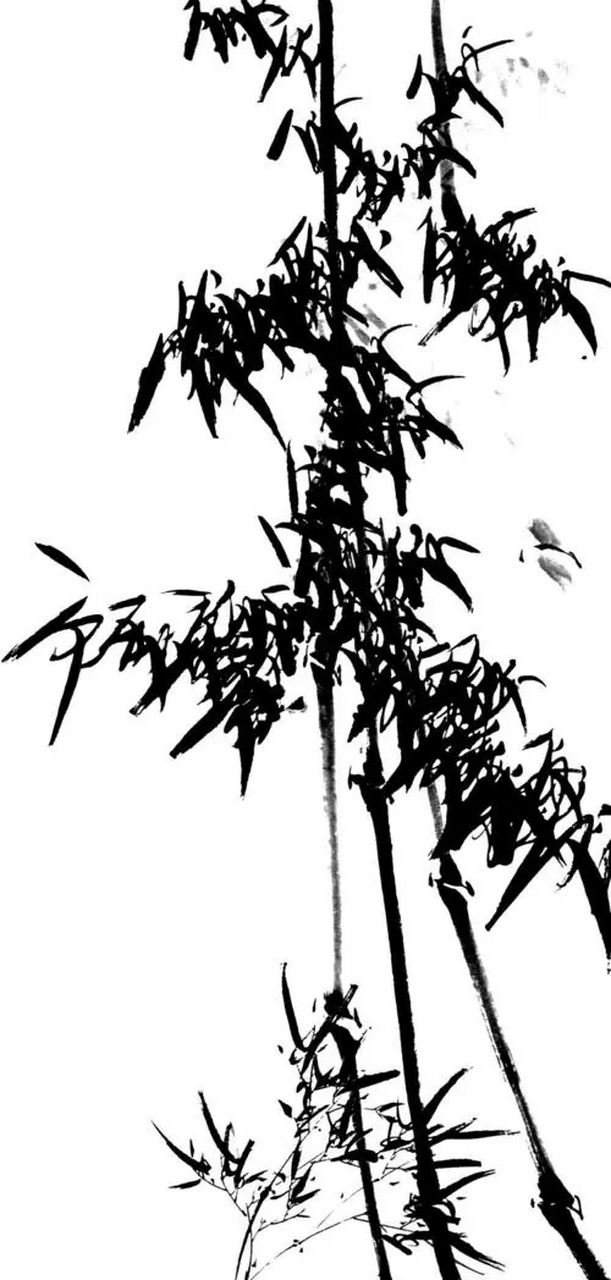 【中国国画素材练习】#艺术