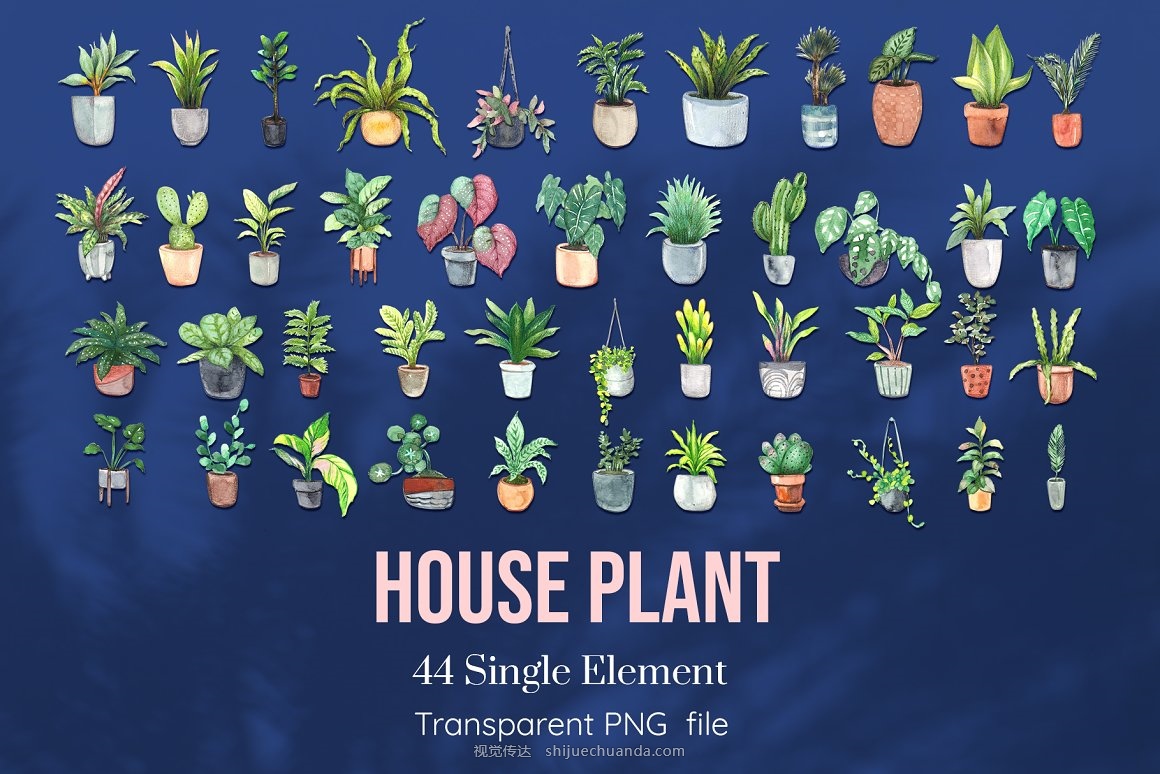 House Plants Watercolor set-2.jpg