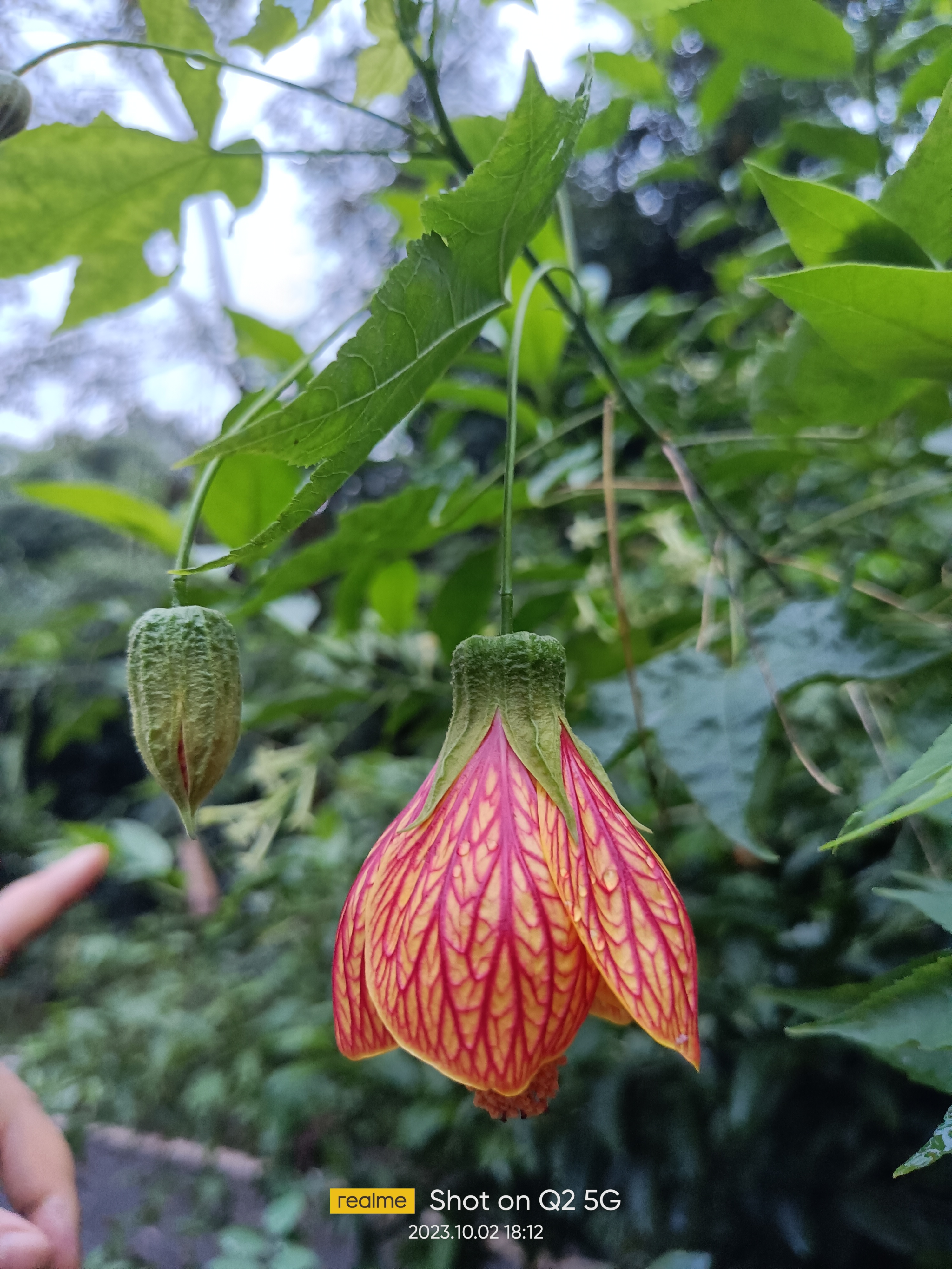 我做着一份除去医保和社保,不到1500元一个月的工