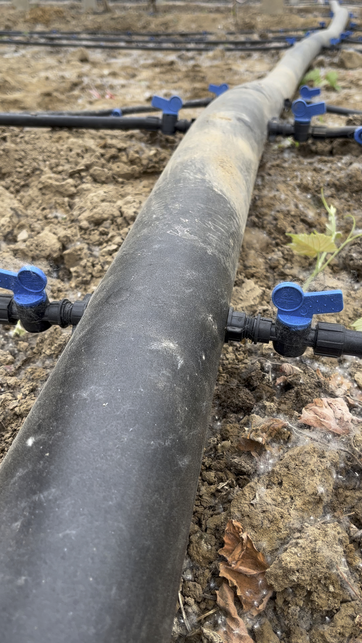 葡萄滴灌技术,水肥一体化滴灌安装,pe滴灌管,滴灌配件阀门开关