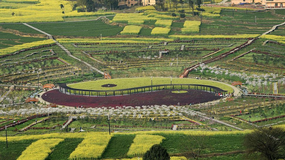 頻湖脉学–滑脉(阳中阴)