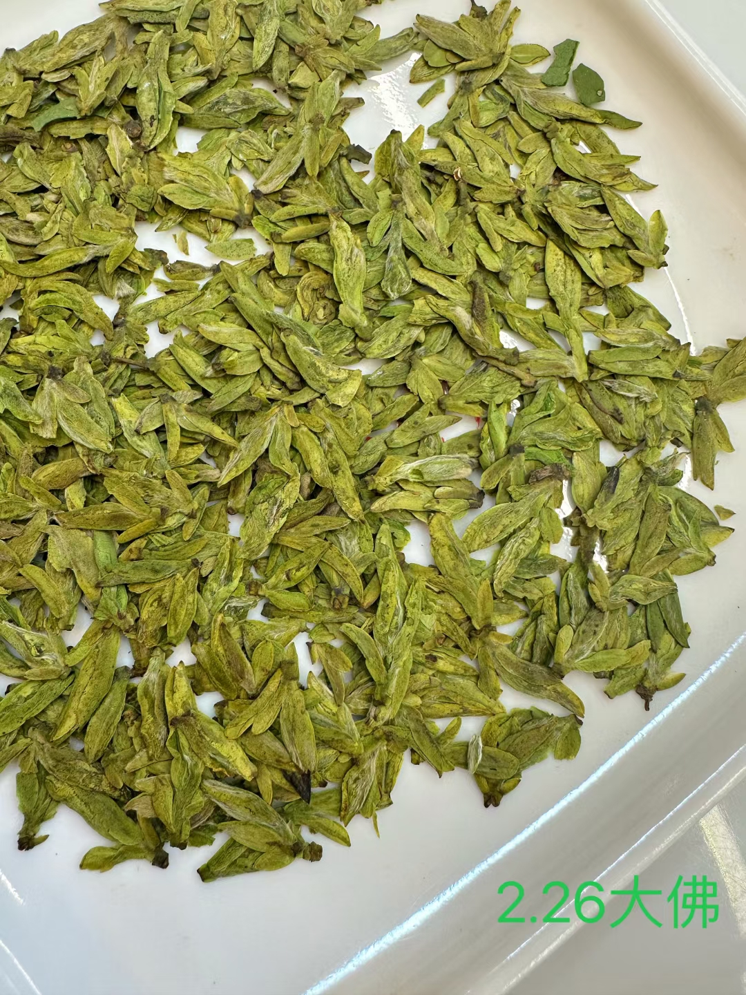 含香东方龙井茶