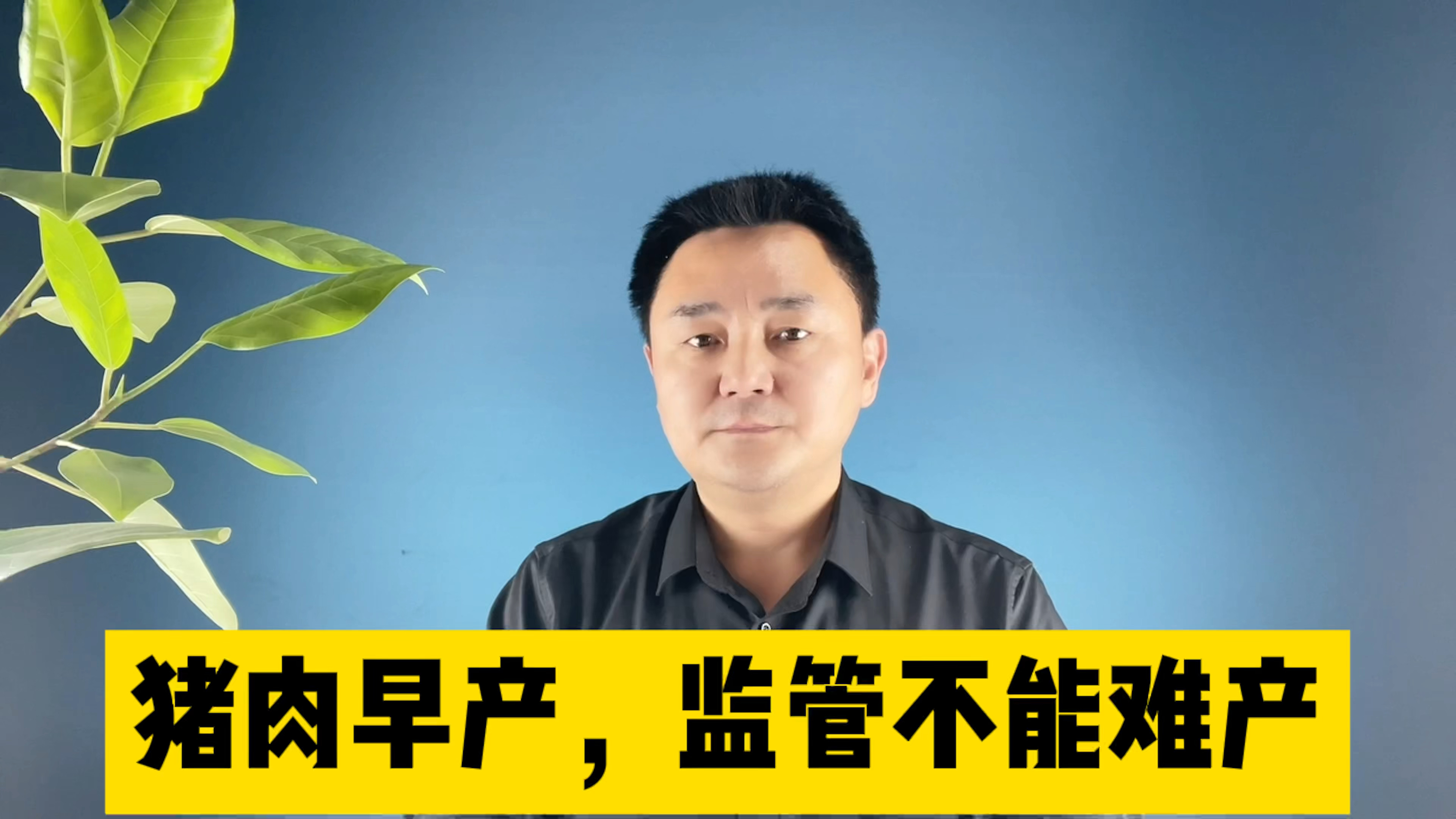 今天收到“明天”的货,猪肉早产,监管不能难产