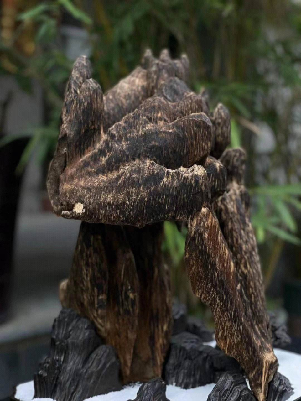 沉香有什么营养价值与功效?