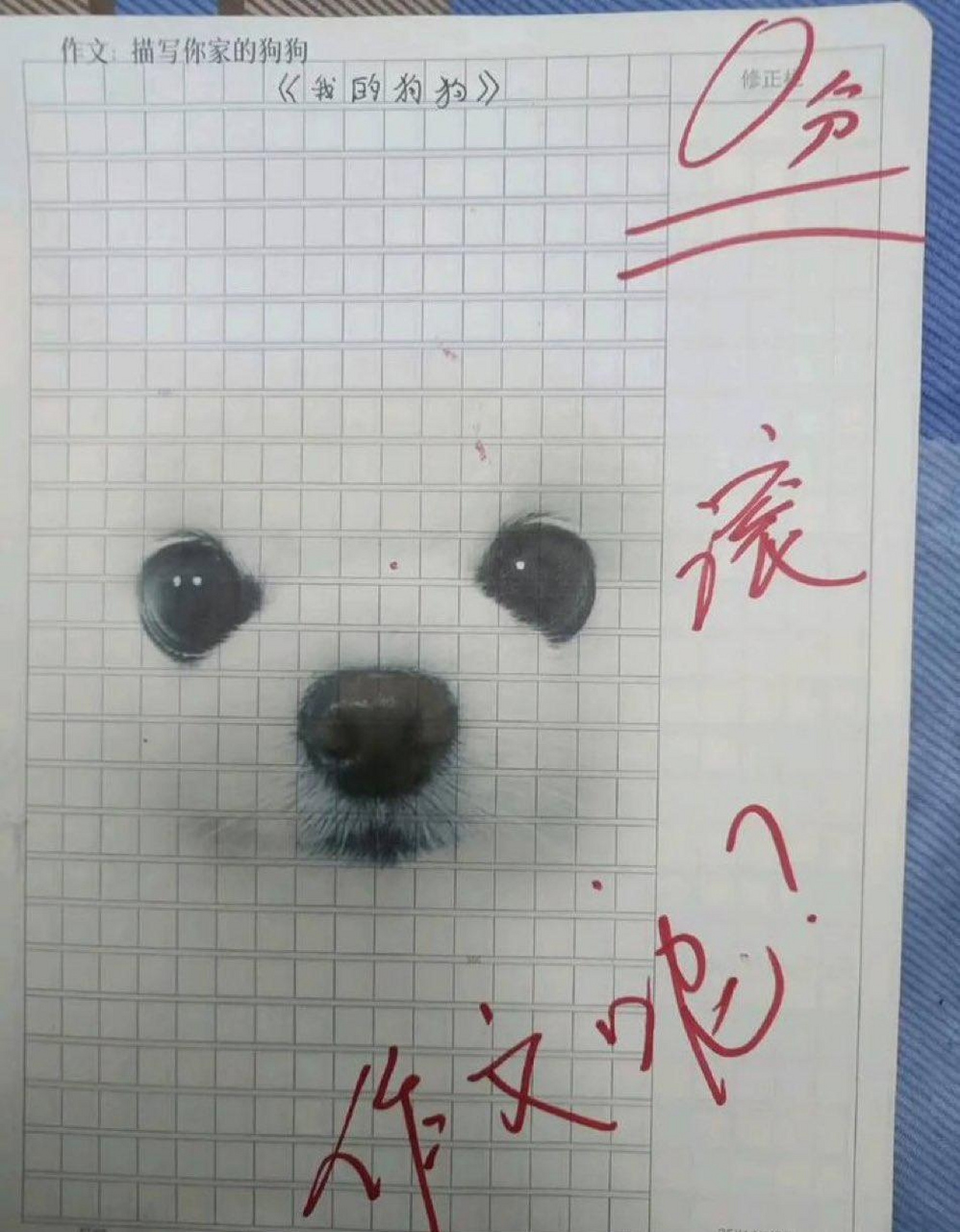小学作文,老师出的题目是描写你家的狗狗,一名学生直接画了两只狗眼和