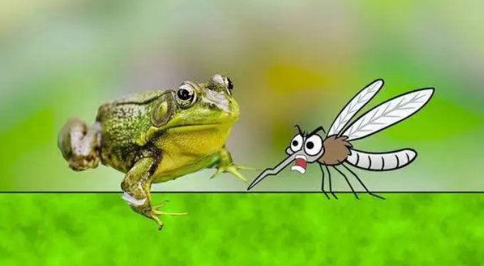 小青蛙抓害虫图片