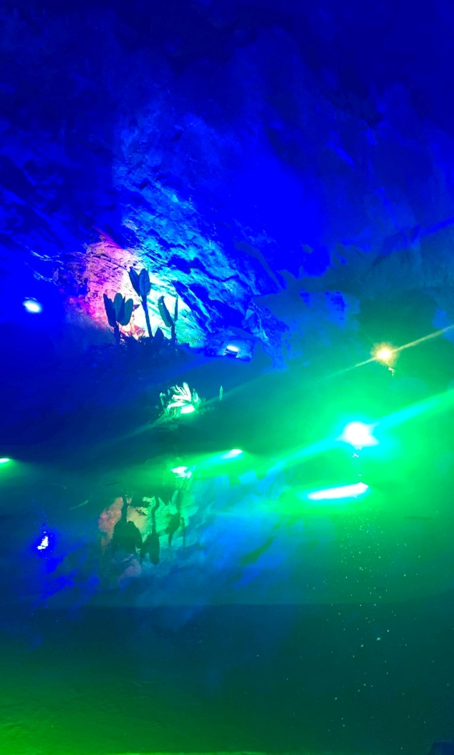 石家庄 石洞酒海 石洞里储藏着很多酒 还有巨大的恐龙化石