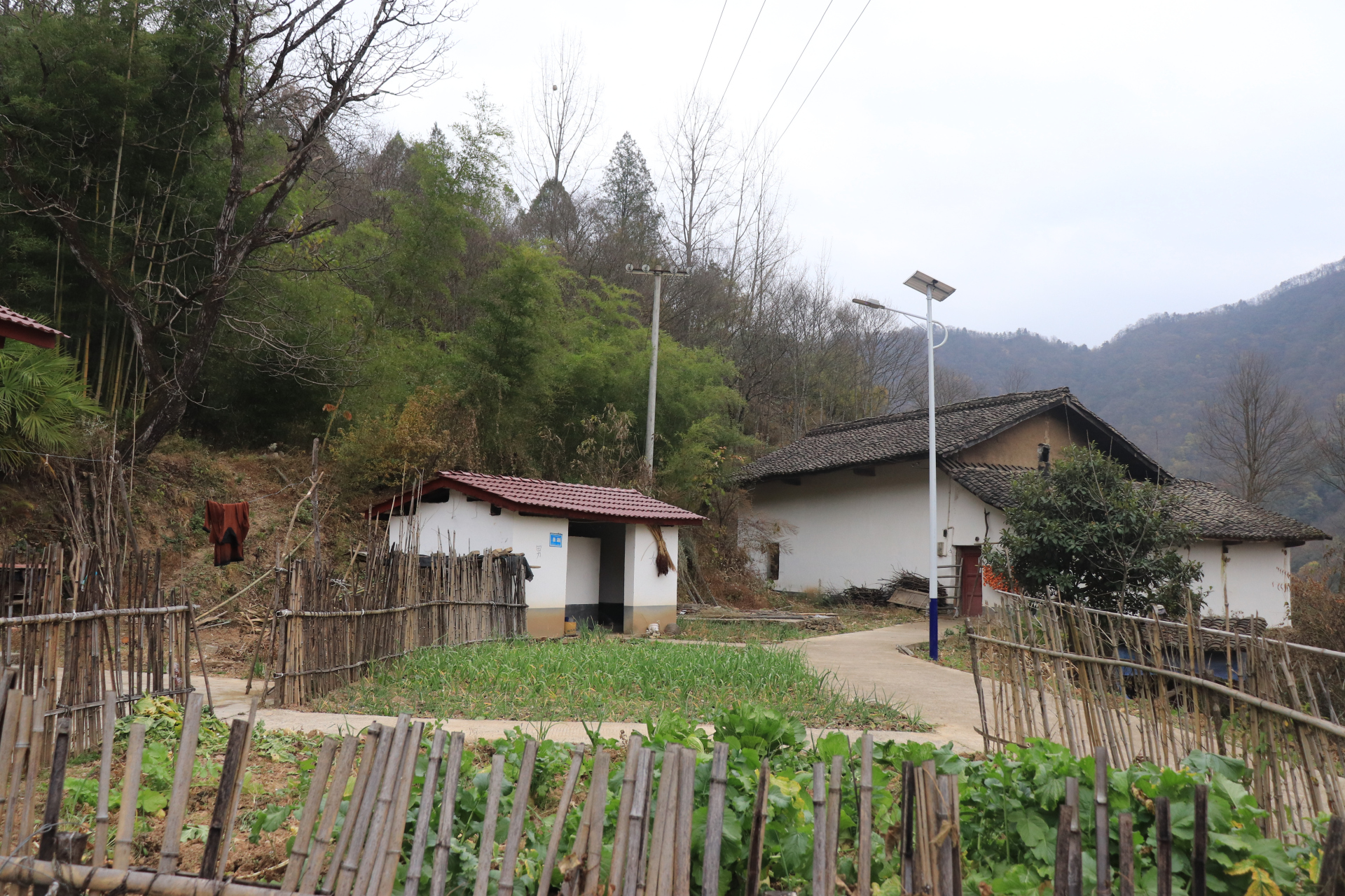 青川县农家小院图片