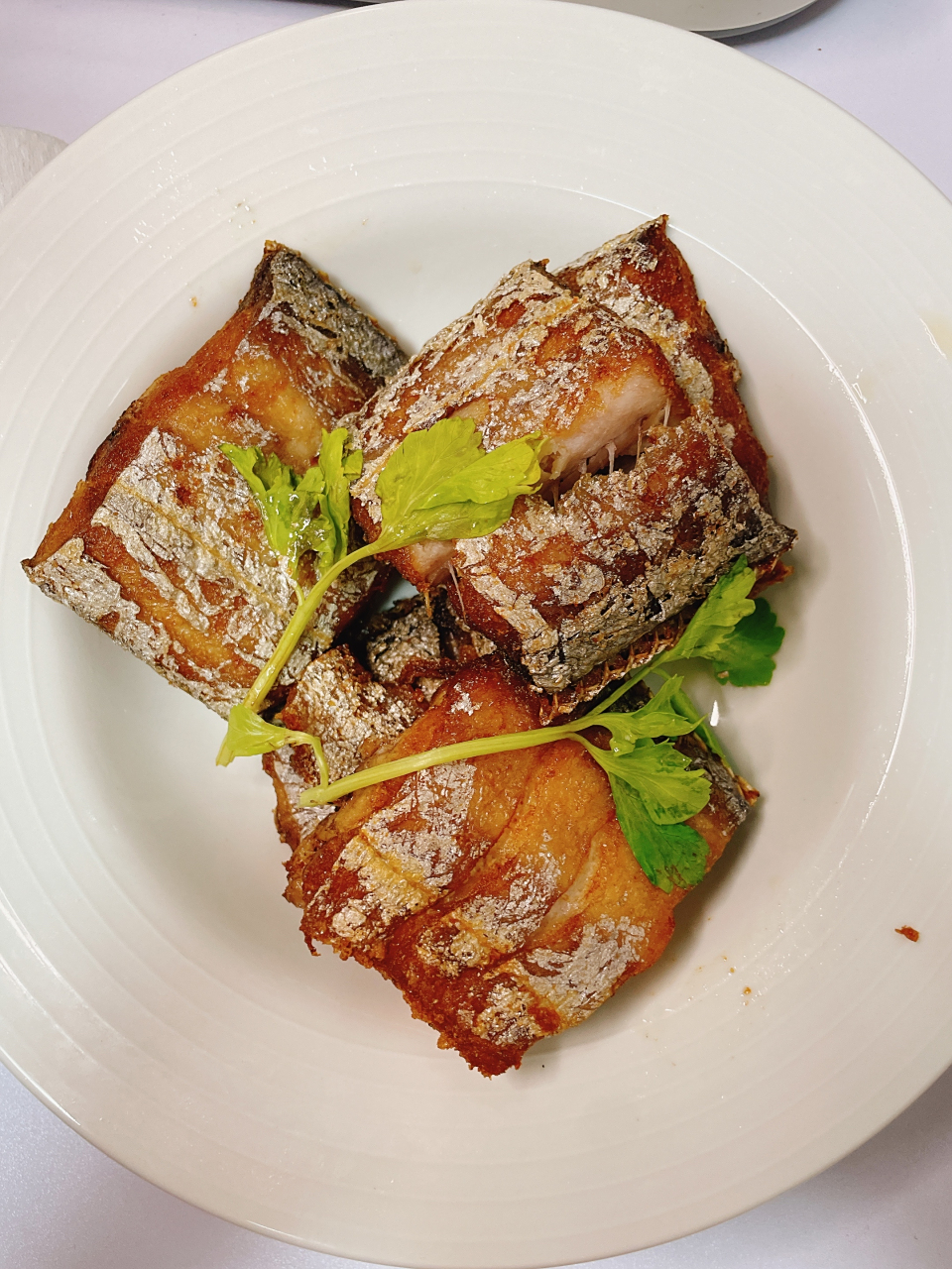 潮汕家常菜 香煎乌脐鱼 清炒娃娃菜 鹿茸菇炒肉 香煎带鱼 家常做法