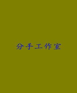 分手工作室