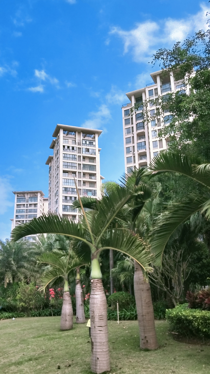 海南澄迈盈滨半岛