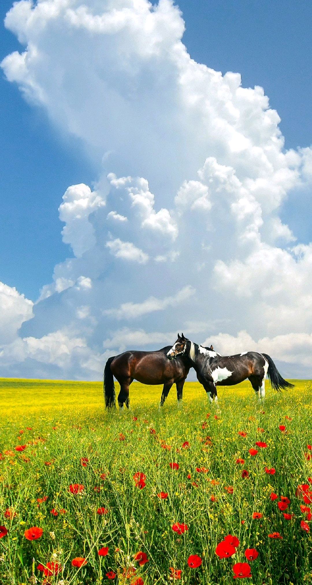 一组创意风景壁纸