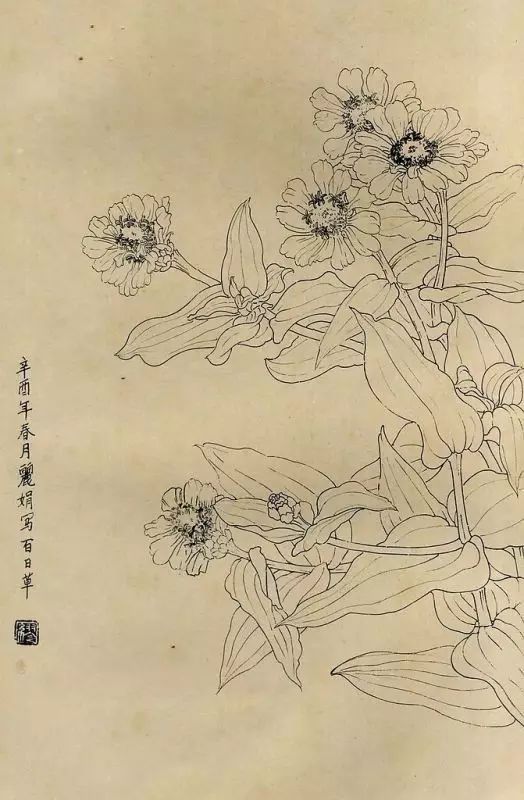 素材|工筆白描百花圖譜49圖