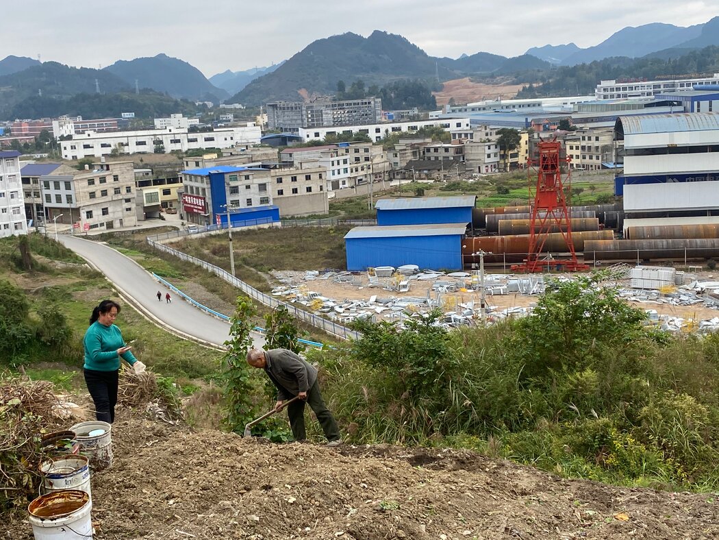 昌明镇种菜的农民,这是一个和中国其他地区一样蓬勃发展的农业小镇。