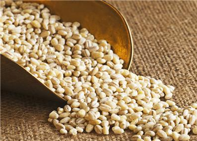 高粱米和薏米的介绍