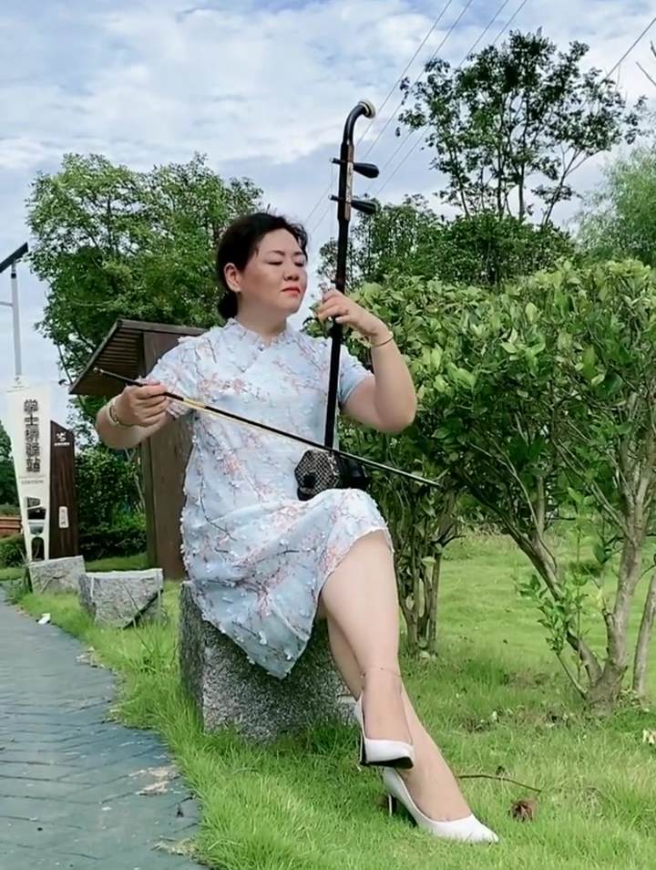 二胡演奏经典歌曲二泉吟