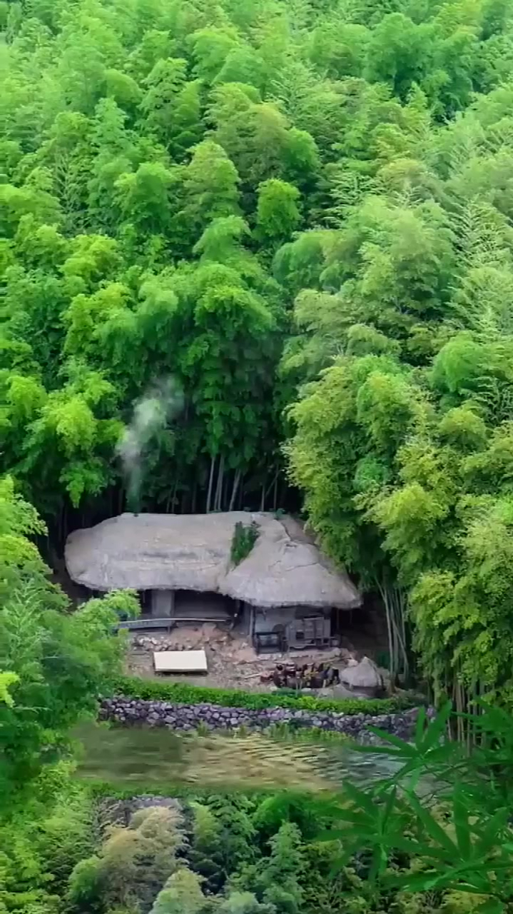 住在竹林深处的人家,这才是真正的与世隔绝,有些人想住却不敢住