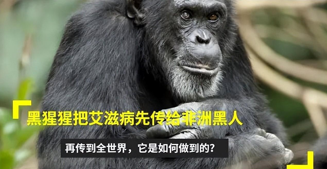 回顾非洲黑人谎称自己是富二代骗3名女学生同居传染她们艾滋病