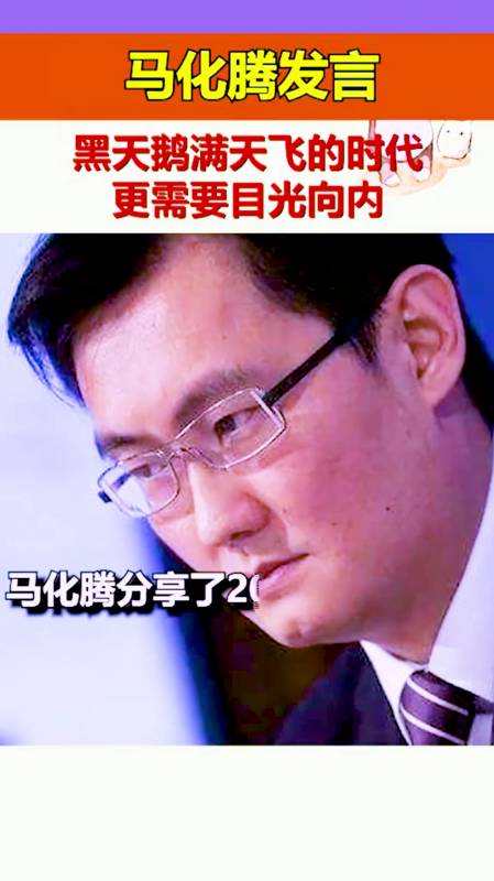 马化腾黑天鹅满天飞的时代更需要目光向内