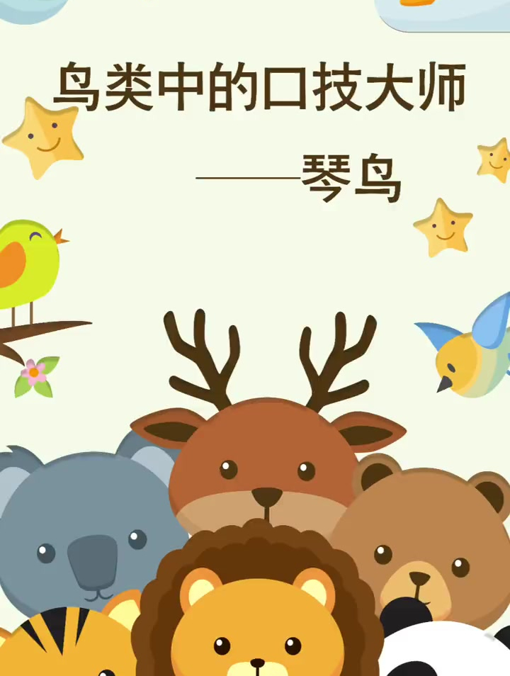 鸟类中的口技大师琴鸟有多厉害-度小视