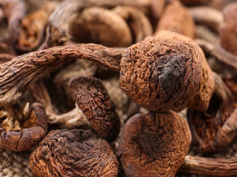 沈阳有什么特产值得带?这6样最具代表性,味好档次高,送礼有面