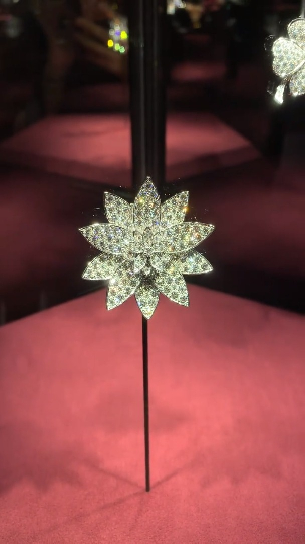 梵克雅宝的珠宝展太好看了!