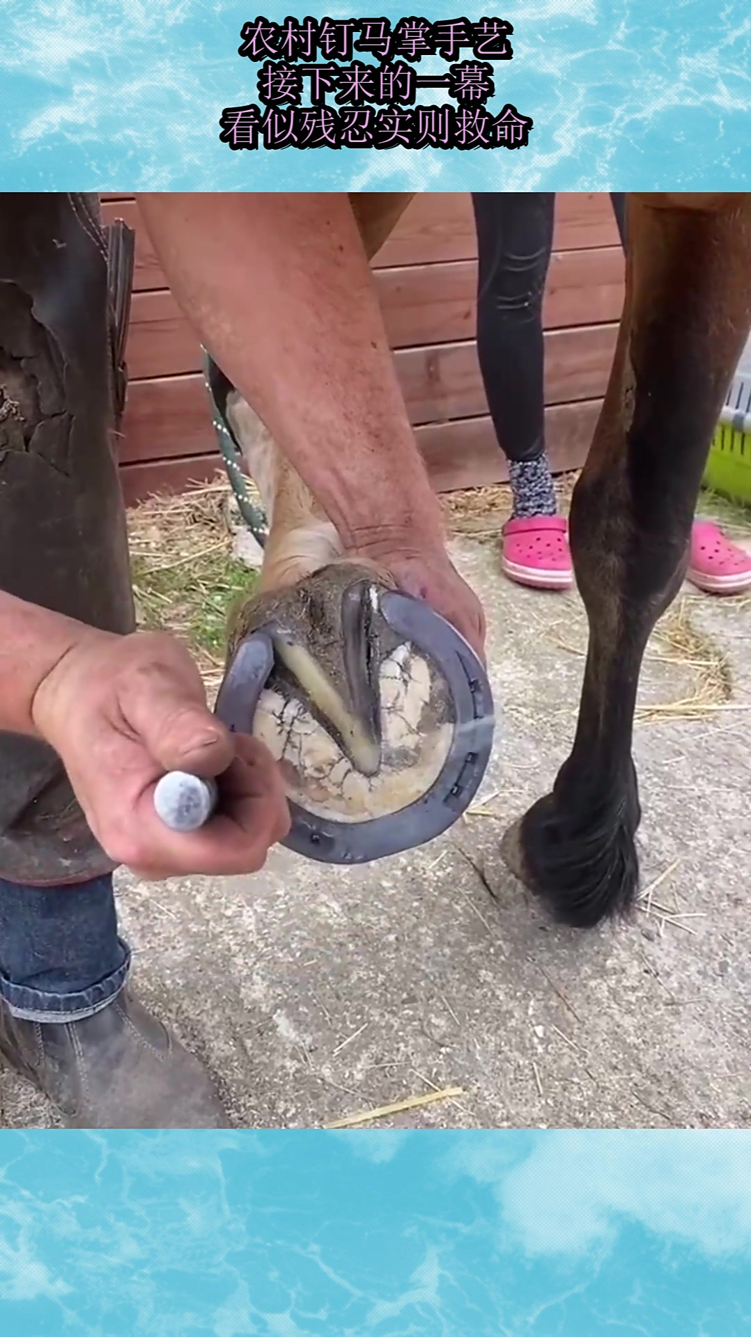 农村钉马掌手艺,接下来的一幕,看似残忍实则救命!