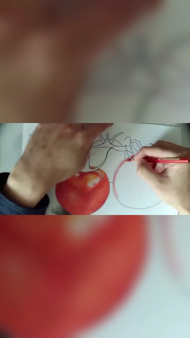 番茄炒蛋怎么画 真实图片
