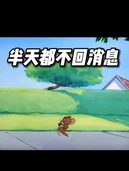 半天不回信息现,在才想起我,门都没有,表情包艾特你想艾特的人-度小视